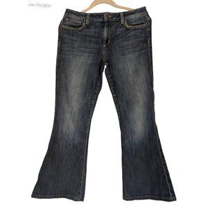 JOE'S JEANS flare visionaire